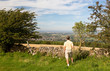 Senior viewing over Winchcombe from Belas Nap