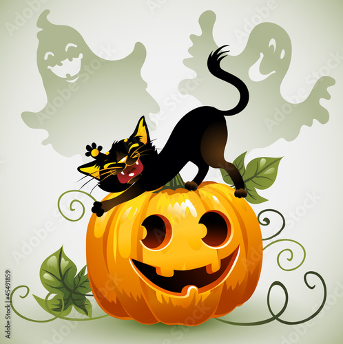 Vector: Black cat on Halloween pumpkin and ghost. Black cat on Halloween pumpkin and ghost.