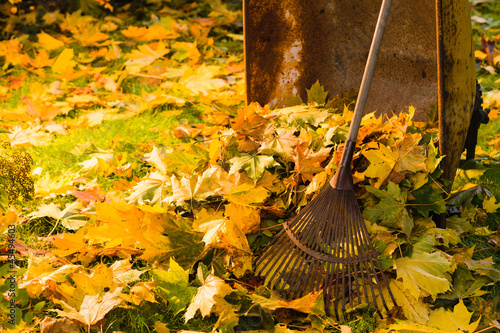 Photo: Leaf pile and rake Leaf pile and rake