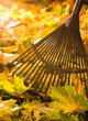 Photo: Rake and leafs Rake and leafs