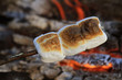 marshmallows roasting over open campfire