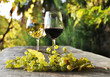 Pair of wineglasses and bunch of grapes. Lavaux region, Switzerl