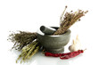 dried herbs in mortar and vegetables, isolatrd on white