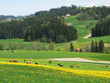 Spring in Emmen valley (Emmental), Switzerland