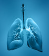 lungs x-ray