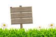 Blank wooden sign and green grass with daisies