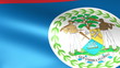 Belize Flag Waving