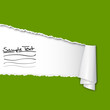 Vector: aufgerissenes Papier mit Textfreiraum aufgerissenes Papier mit Textfreiraum