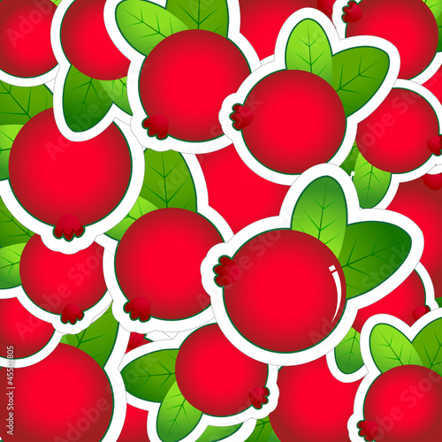 Vector: Background of cranberries Background of cranberries
