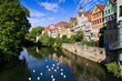 Photo: Tübingen, typische Stadtansicht mit Neckar mit Schwänen Tübingen, typische Stadtansicht mit Neckar mit Schwänen