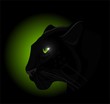 Illustration: panther panther