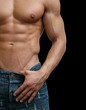 Muscular Male Torso