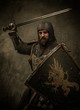 Medieval knight in attack position
