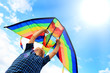 Llittle boy flies a kite in the sky