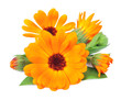 Marigold flowers