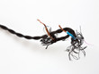 Zweipoliges Kabel