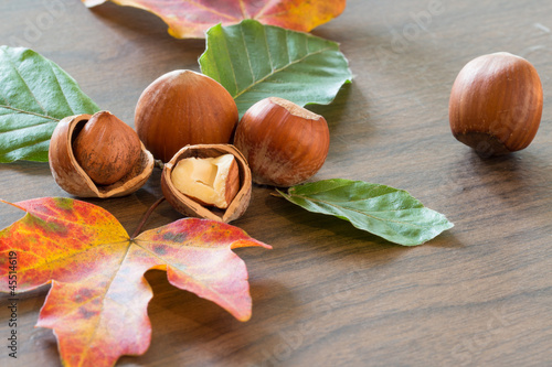 Photo: Haselnüsse mit Herbstlaub Haselnüsse mit Herbstlaub