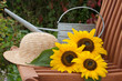 Sonnenblumen