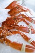 Cooked Norwegian lobster on crushed ice