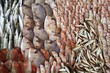 Lots of different Mediterranean fish