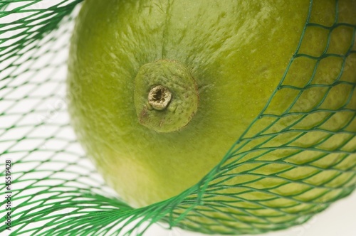 Photo: A lime in a net A lime in a net