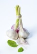 Fresh Green Garlic