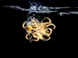 An octopus in water