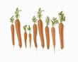 Fresh carrots (diagram)