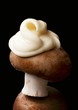 A brown mushroom with a dollop of mayonnaise