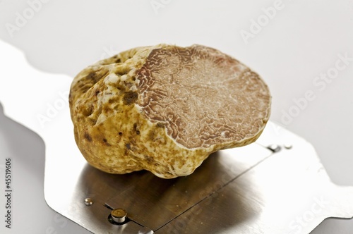 Photo: White truffle mushroom and a truffle slicer White truffle mushroom and a truffle slicer