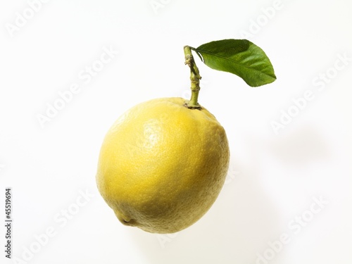 Photo: A lemon with a leaf and a stalk A lemon with a leaf and a stalk