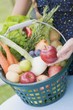A woman showing apples from a basket of fresh fruit and vegetables