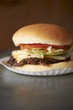 Grilled Cheeseburger with Lettuce and Tomato on a Paper Plate