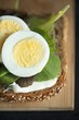 Sliced Boiled Egg with Lettuce and Mayo on a Slice of Whole Wheat Bread; From Above