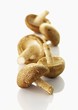 Five shiitake mushrooms