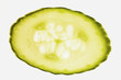 Slice of courgette, backlit