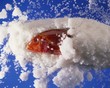 Red mullet in a salt crust