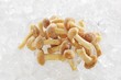 Frozen sheathed woodtuft mushrooms