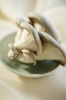 Fresh Oyster Mushrooms in a Small Dish
