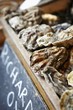Fresh oysters at a market