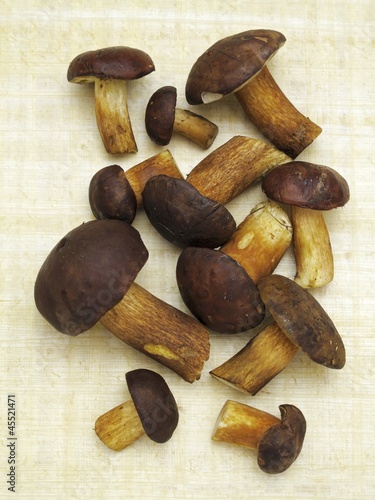 Photo: Bay bolete mushrooms Bay bolete mushrooms