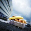 Lunch box containing cold cut sandwiches and banana
