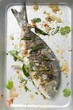 Roasted gilthead bream with lemon grass & coriander leaves