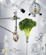 Scientifically modified food