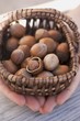 Hands holding basket of hazelnuts