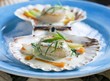Scallops in tarragon sauce