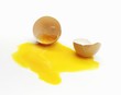 Broken egg