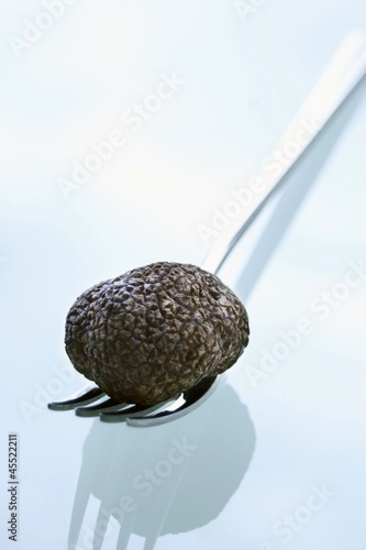 Photo: Black truffle (Chinese truffle) on fork Black truffle (Chinese truffle) on fork