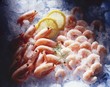 Prawns, peeled and unpeeled, on ice