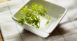 Chervil in white dish